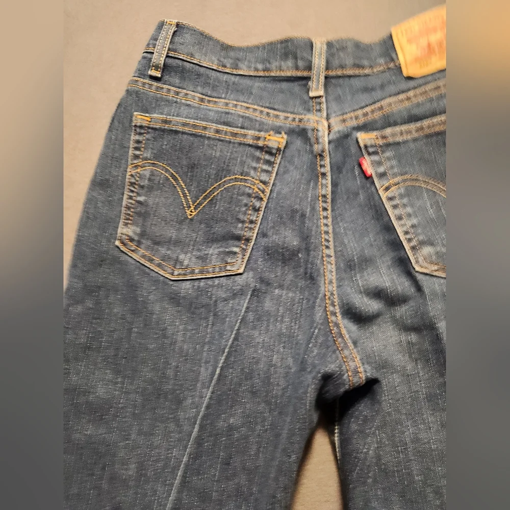 Levi Size 28x29 Blue